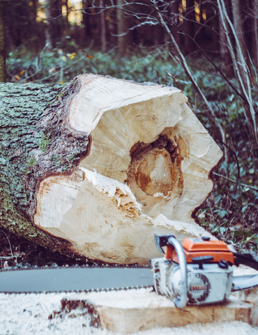 GOZDARSKA MEHANIZACIJA